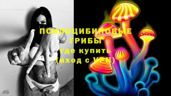 ГАЛЛЮЦИНОГЕННЫЕ ГРИБЫ Арсеньев