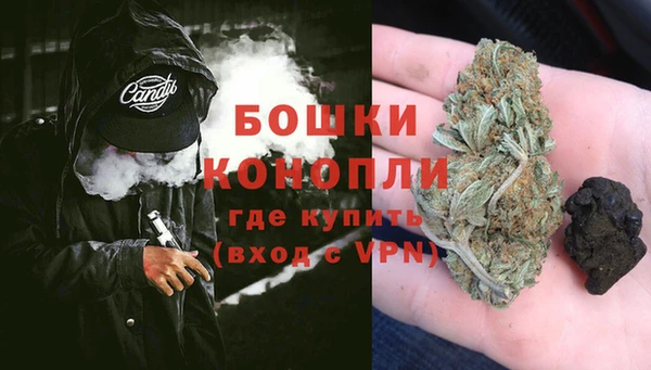 ГАЛЛЮЦИНОГЕННЫЕ ГРИБЫ Арсеньев